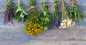 natural remedies herbs