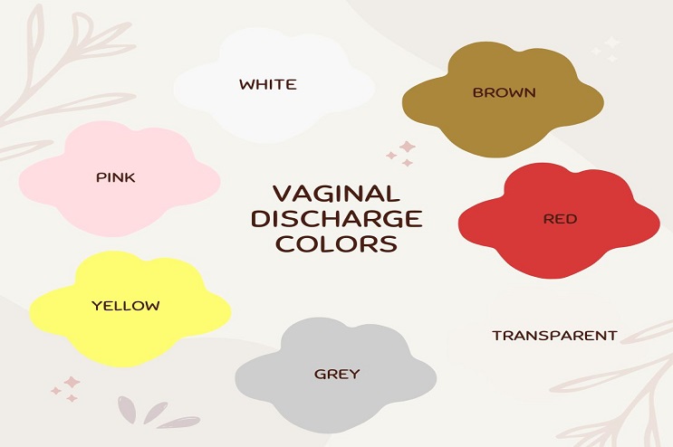Vaginal Discharge Color Guide What Is Normal 46 OFF