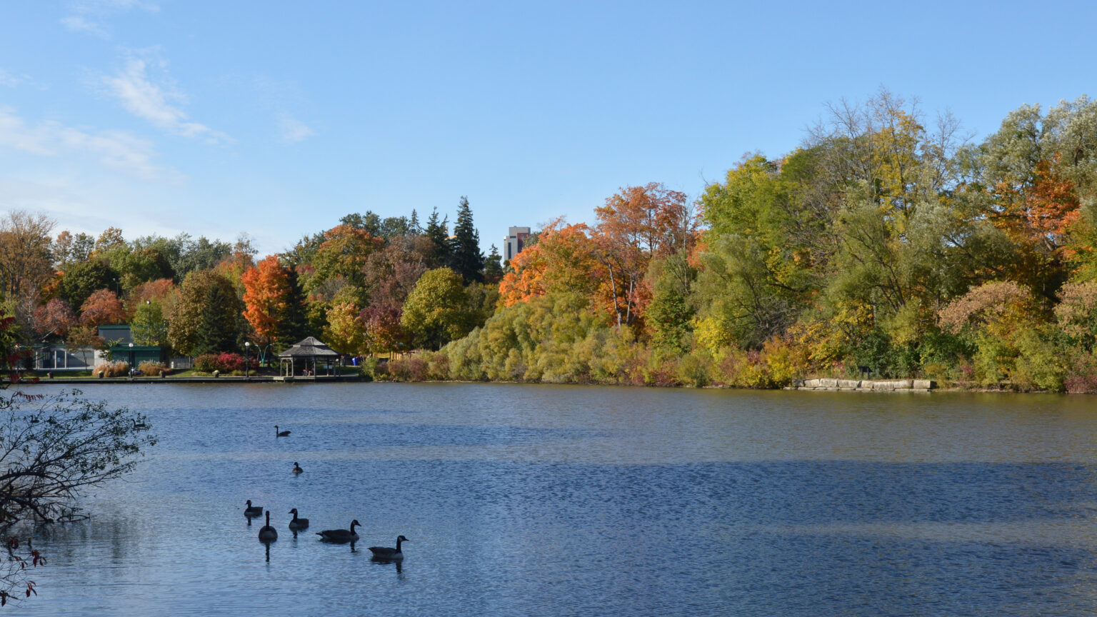 Get a doctor's note online from Silver Lake, Waterloo