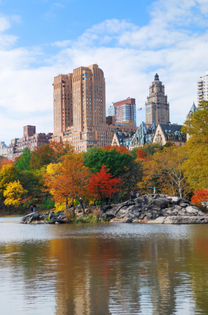 We serve urban, rural and remote areas of Alberta. Get antibiotic prescriptions online now